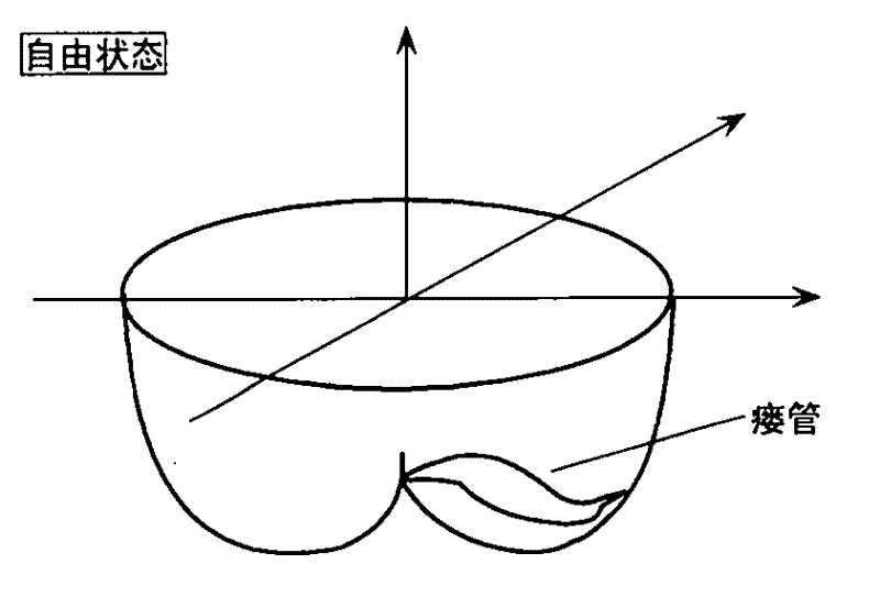 Measurement device and method of hip curved-surface shape and normal pressure distribution