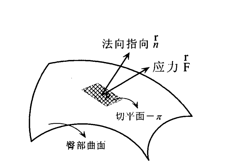 Measurement device and method of hip curved-surface shape and normal pressure distribution