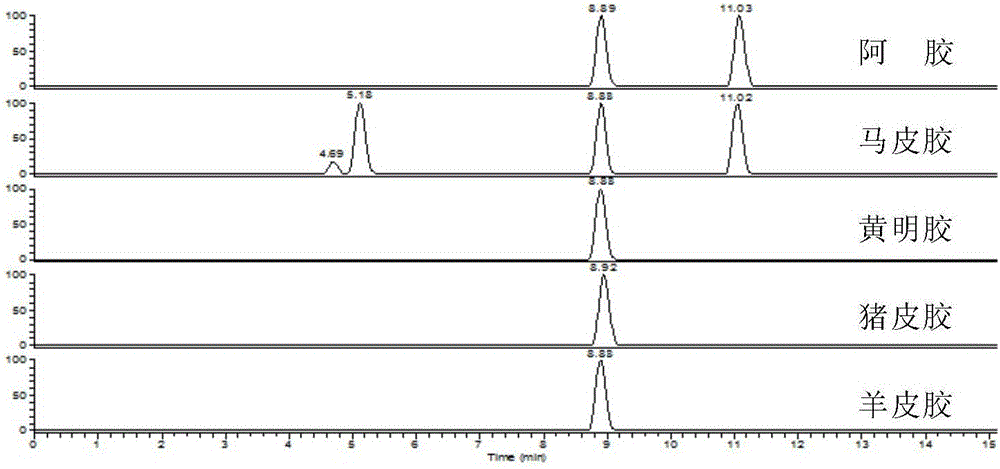 Composition for identifying authenticity of donkey-hide gelatin and compound preparation thereof, kit and detection method thereof