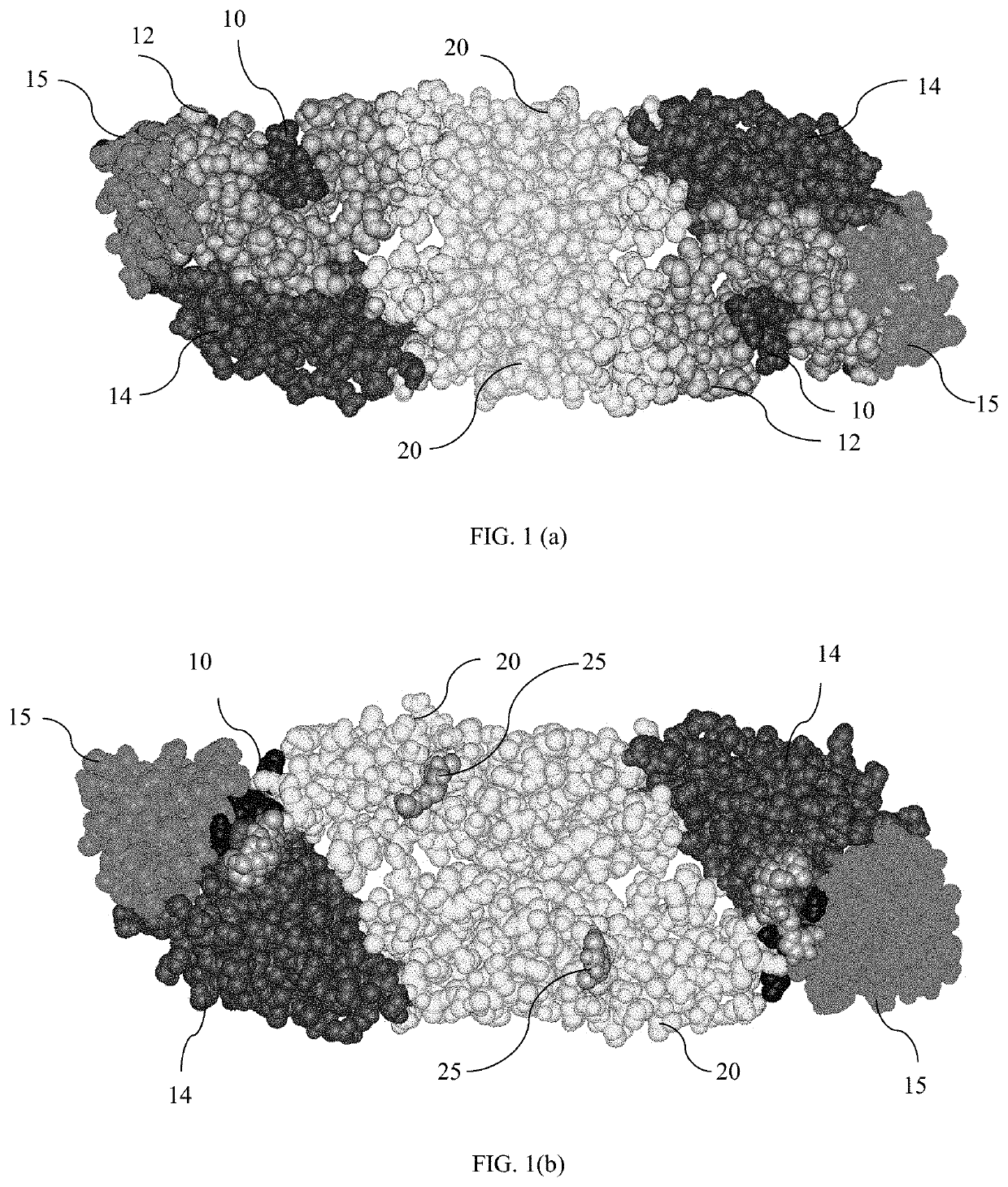 Vaccines and methods for creating a vaccine for inducing immunity to all dengue virus serotypes