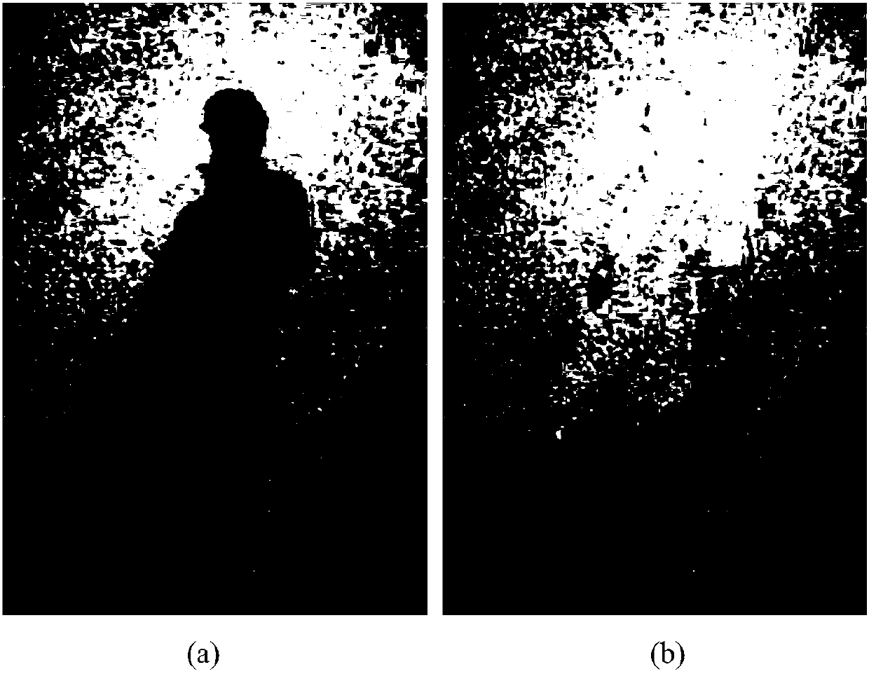 Self-adaptive light-transfer single-shadow removal method based on block matching