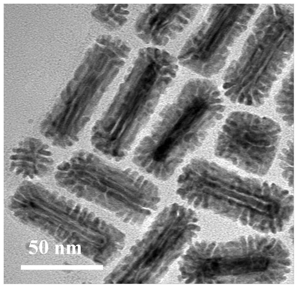 Coronary gold-palladium nano heterogeneous material as well as preparation method and application thereof