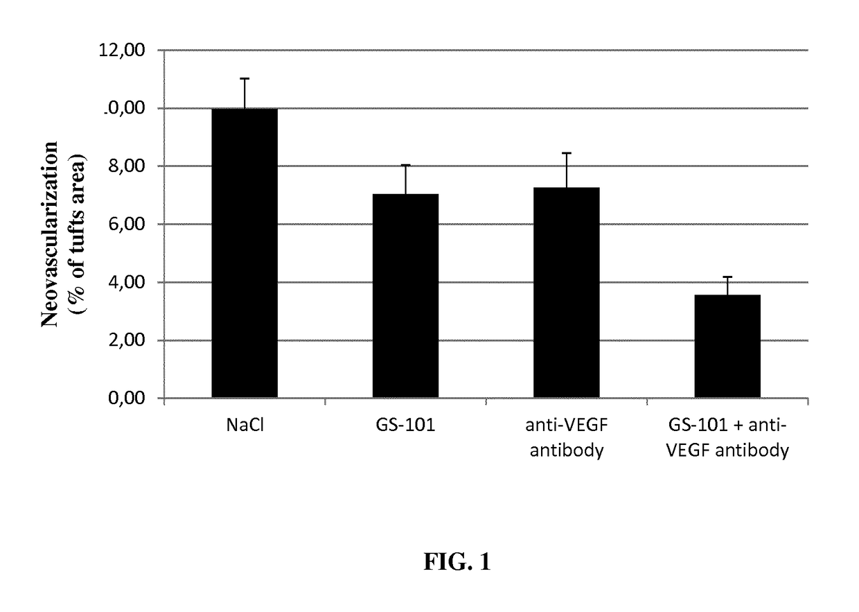 Composition comprising inhibitors of IRS-1 and of VEGF