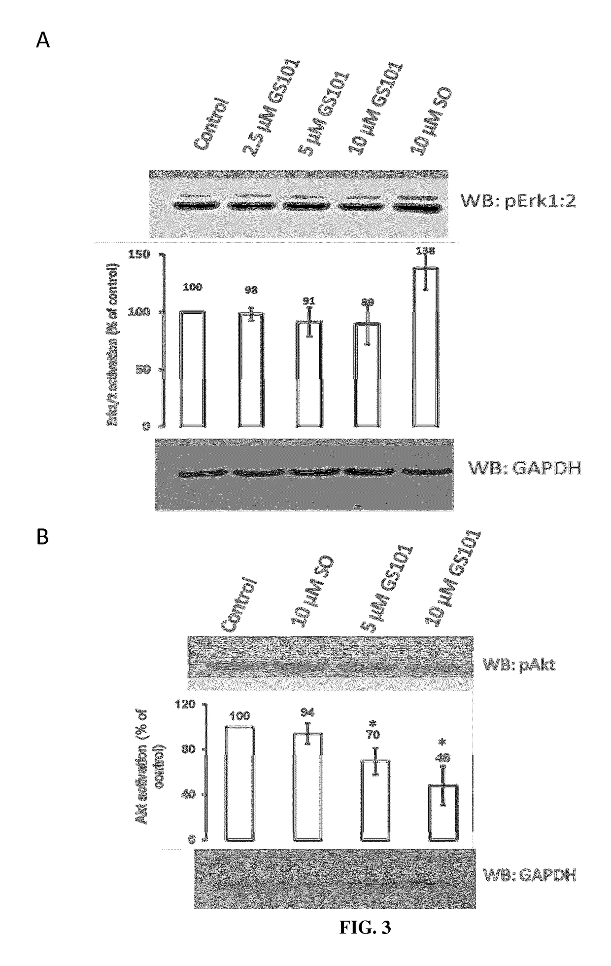 Composition comprising inhibitors of IRS-1 and of VEGF