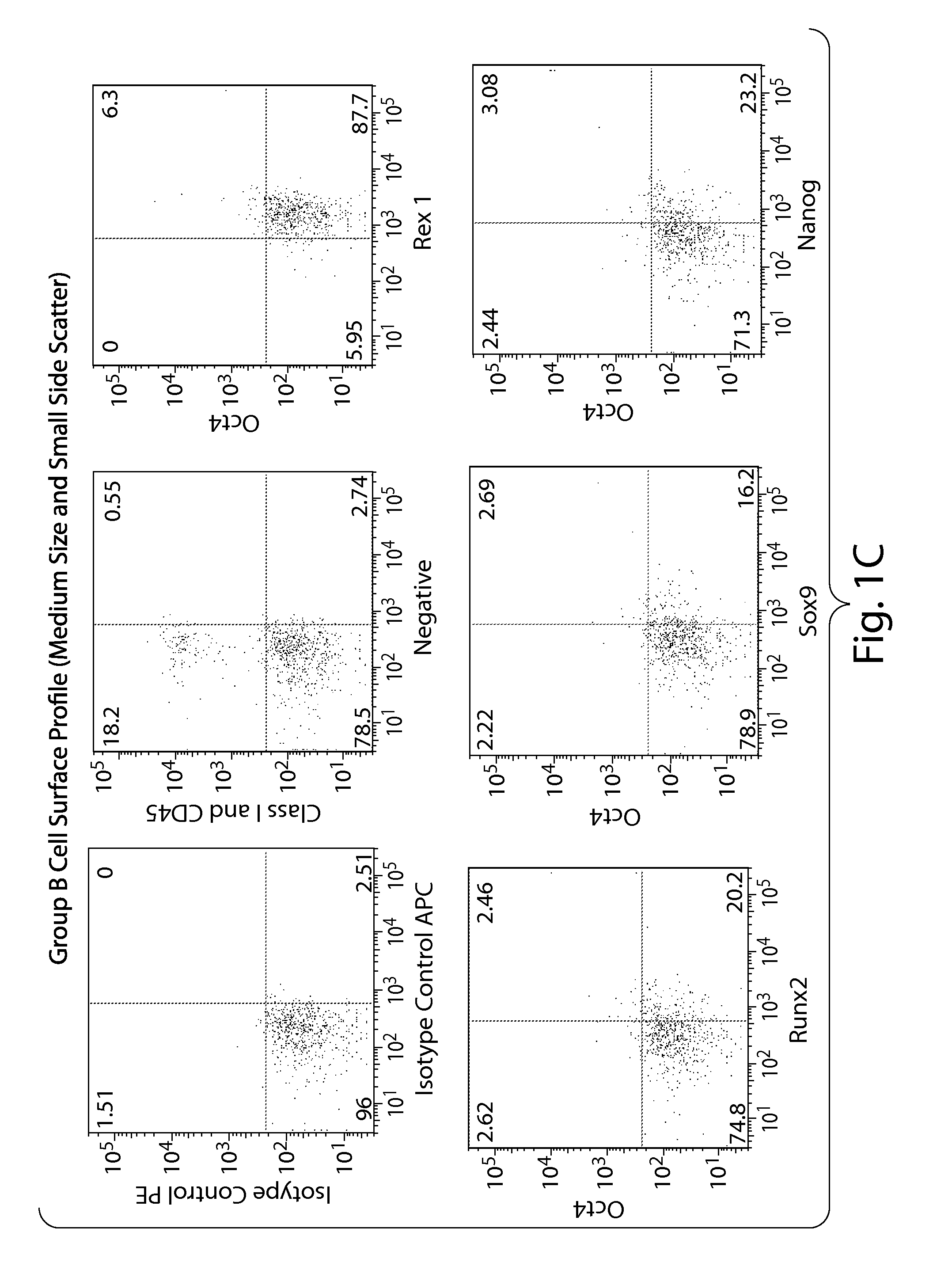 Multipotent stem cells and uses thereof
