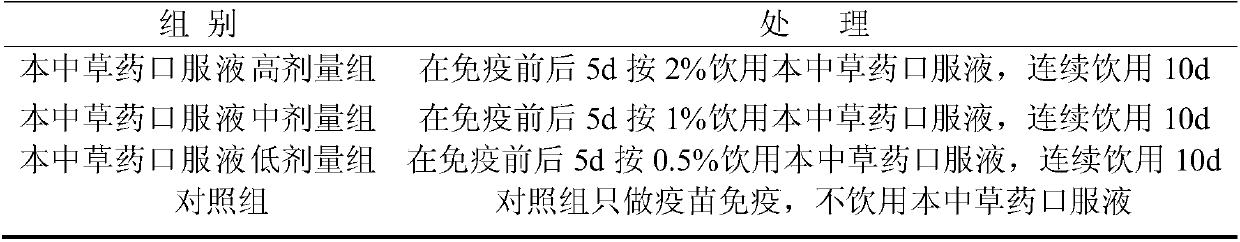 Oral liquid of Chinese herbal medicine for enhancing immunity of raccoons