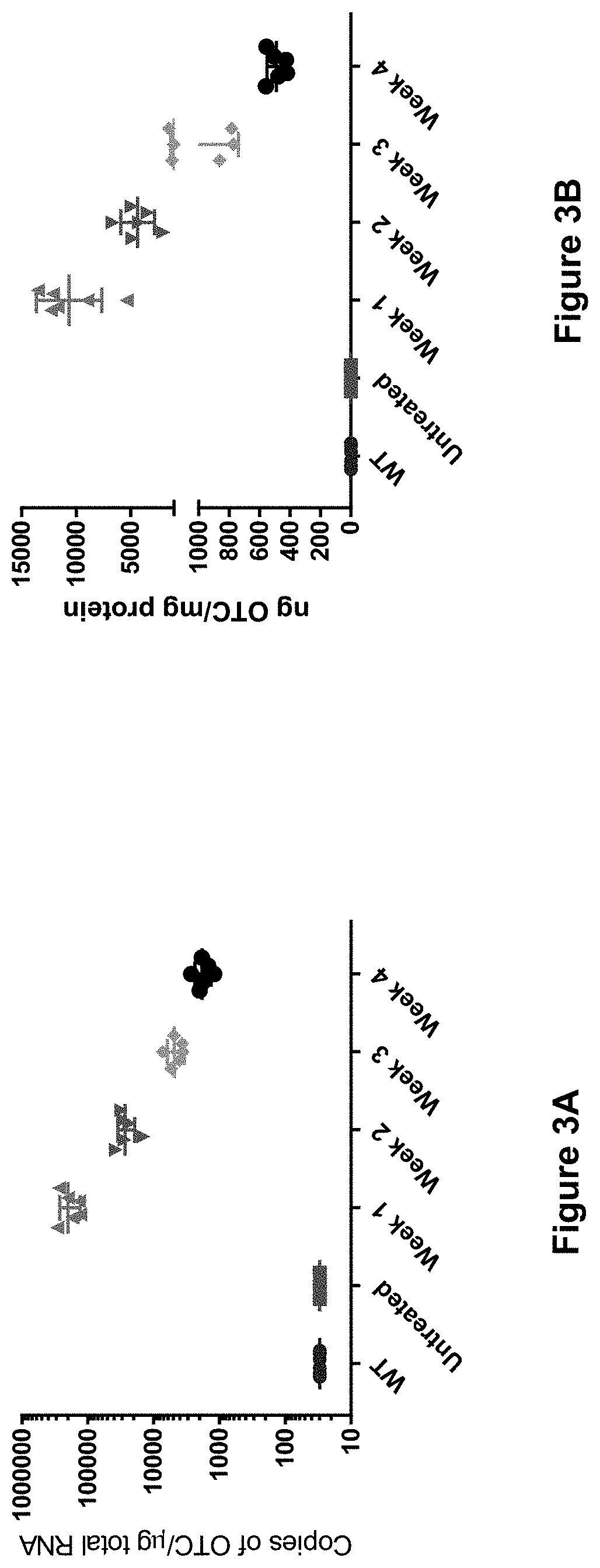 Composition and methods for treatment of ornithine transcarbamylase deficiency