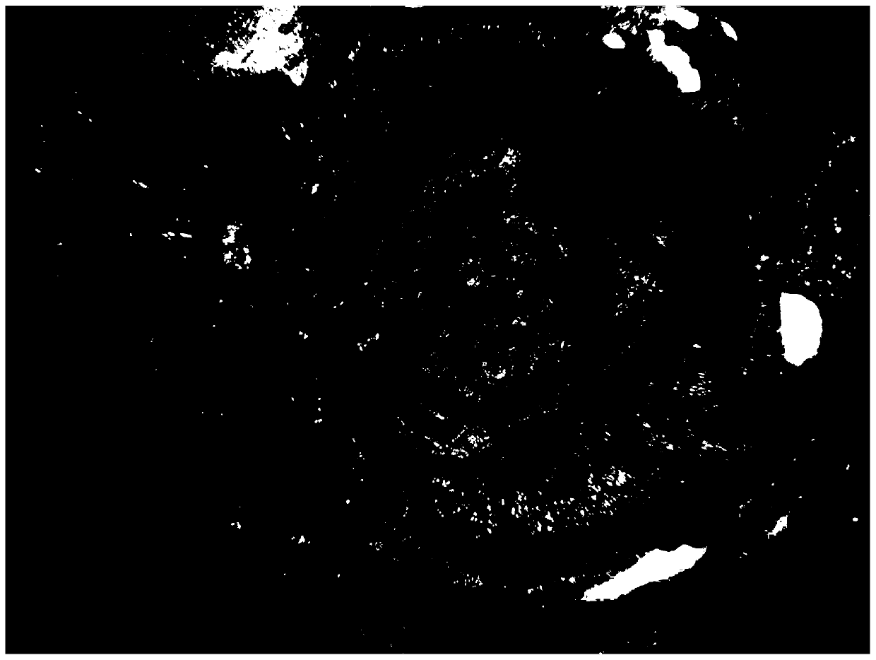 Ulcer paste and preparation method thereof