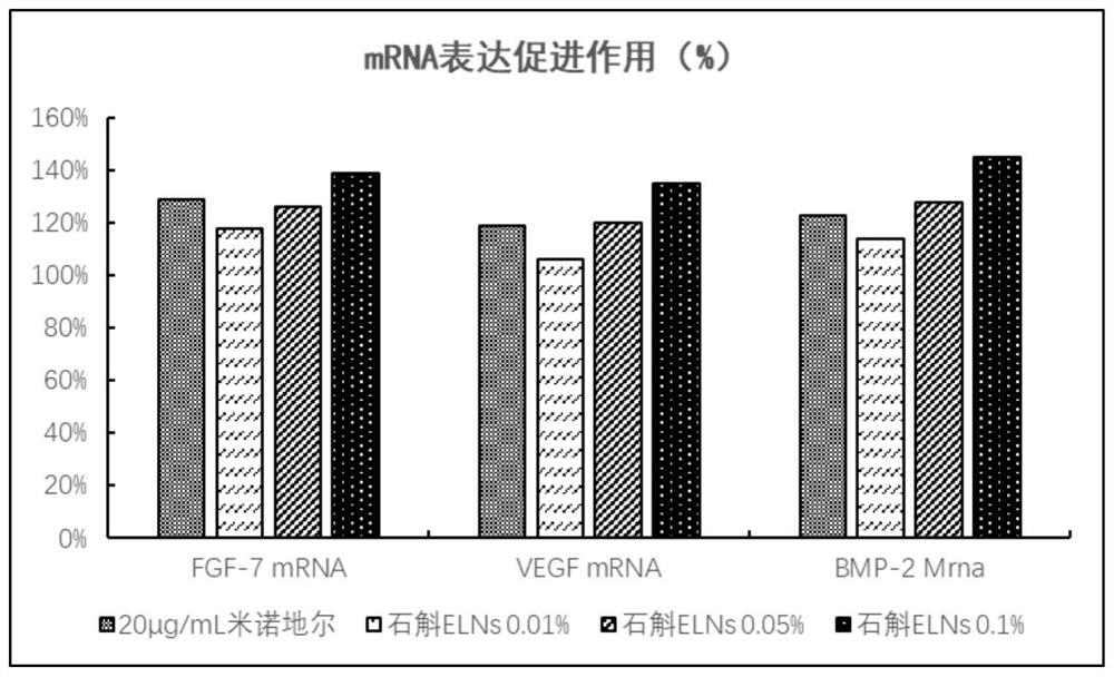 Dendrobium-derived exosome-like vesicles as well as preparation and application thereof in improving alopecia