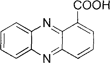 Method for synthesizing phenazine-1-carboxylic acid