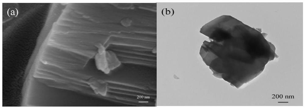 Green fluorophlogopite fluorescent powder with high quantum yield as well as preparation method and application of green fluorophlogopite fluorescent powder