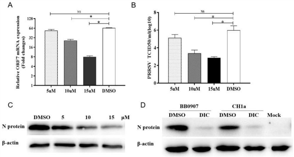 Medicine and method for antagonizing porcine respiratory and reproductive syndrome virus replication