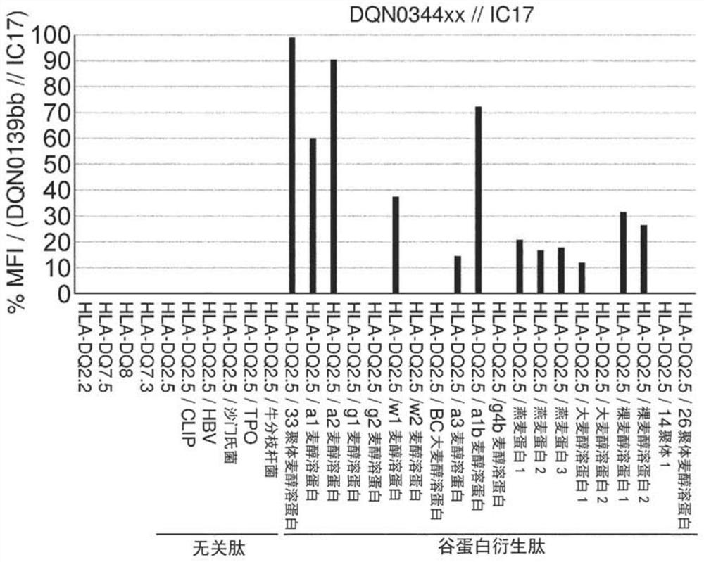 Anti-hla-dq2.5 antibody