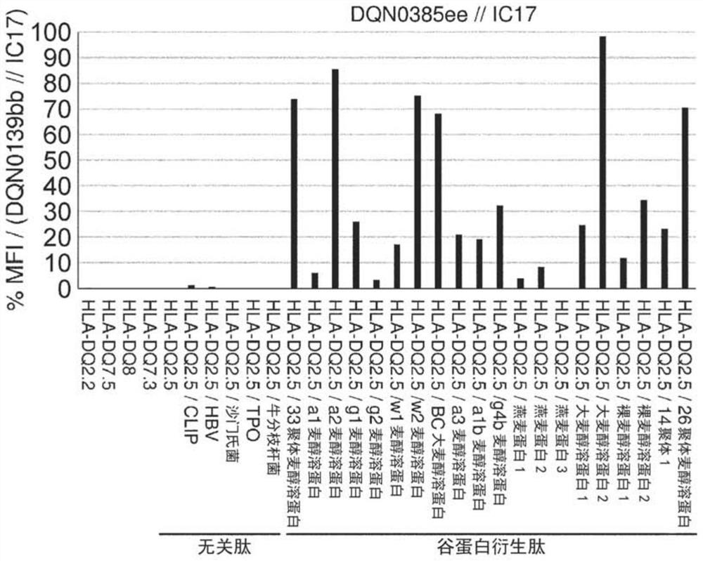 Anti-hla-dq2.5 antibody