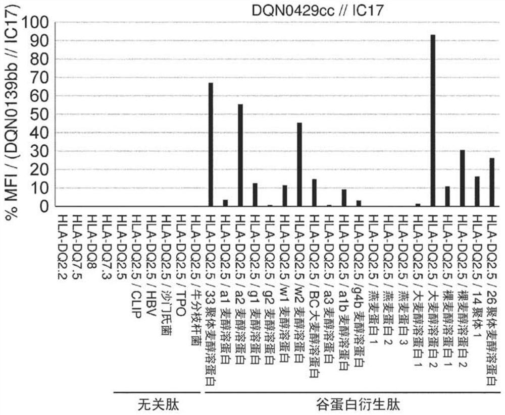 Anti-hla-dq2.5 antibody