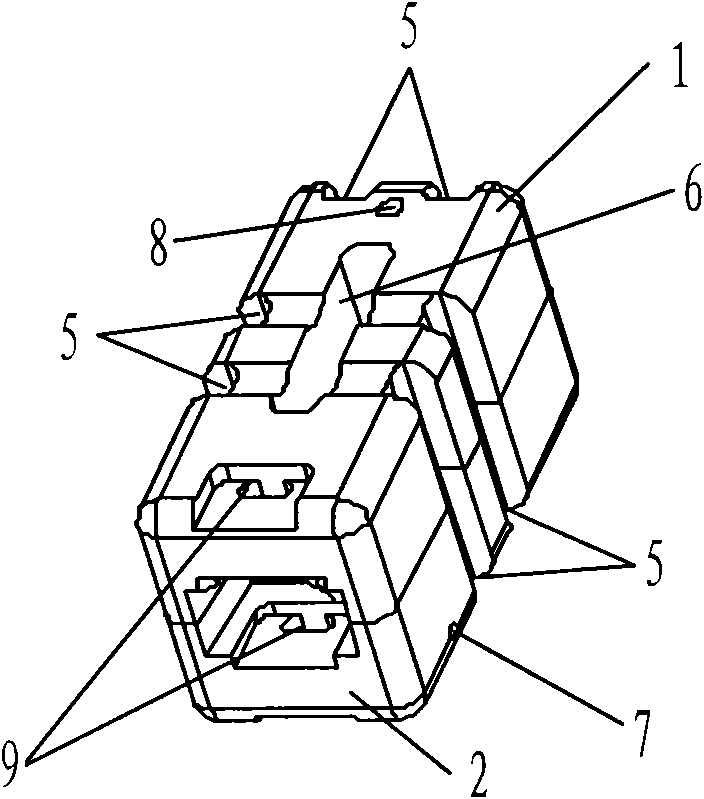 Bone scaffold