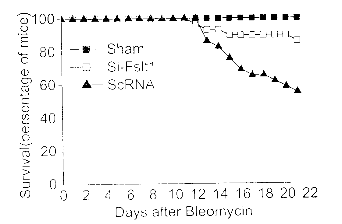 Anti-pulmonary fibrosis application of small interfering RNA of Fstl 1