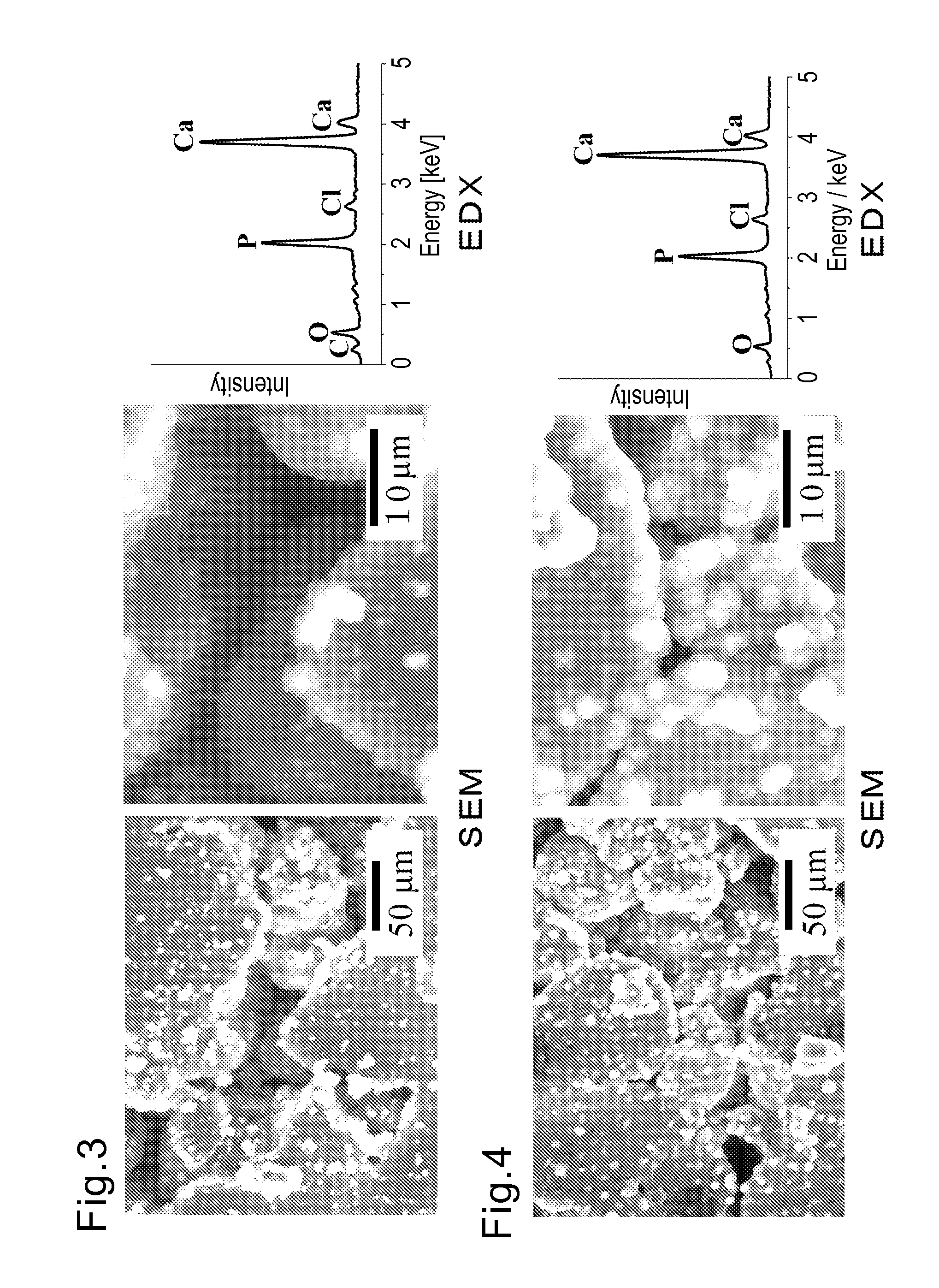 Method for producing bioactive composites