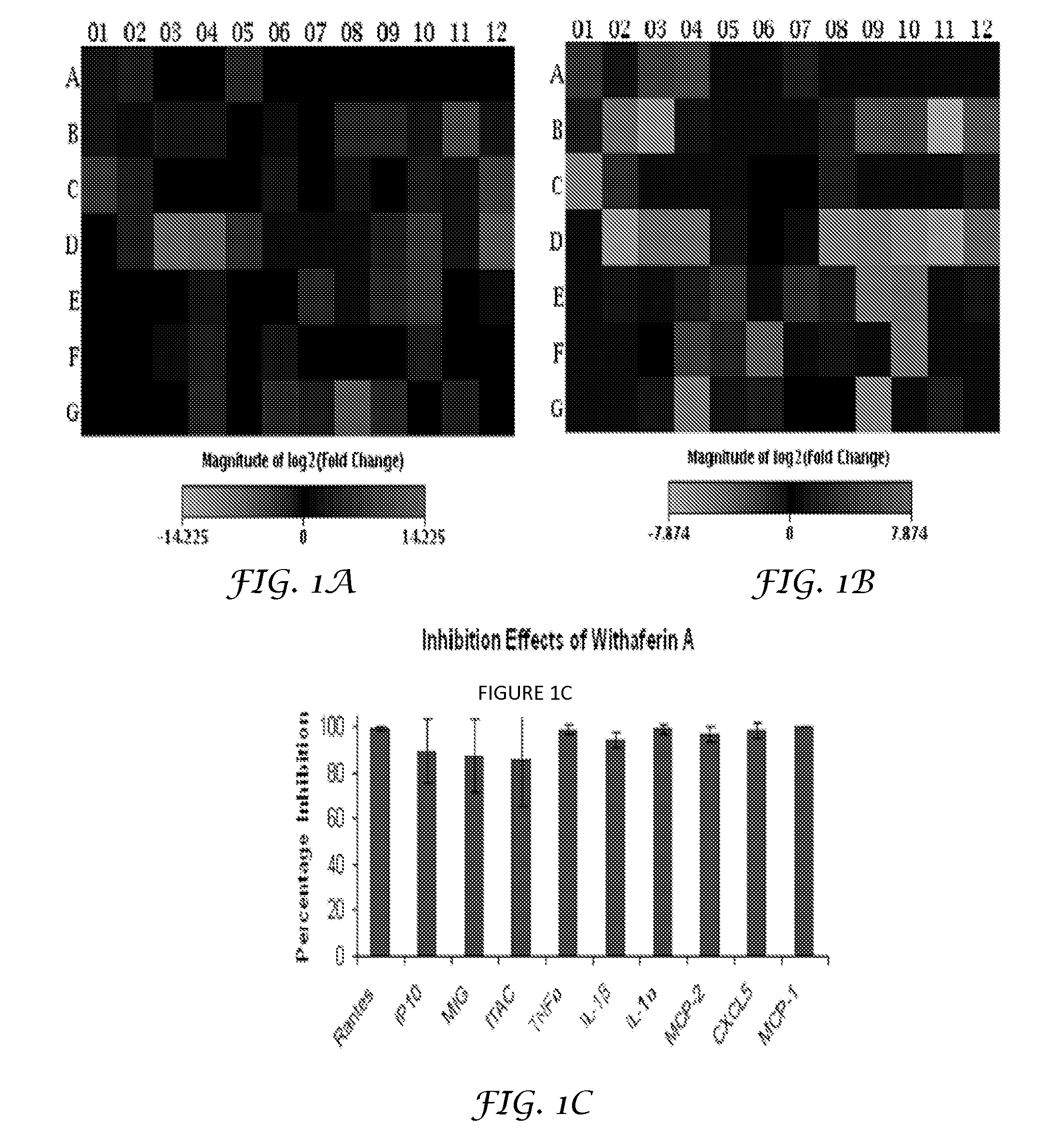 Inhibition of Pro-Inflammatory Cytokine Induced Response