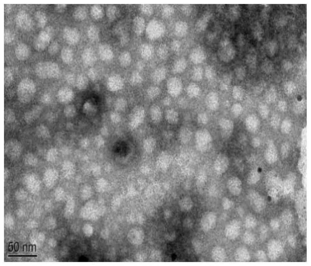 A colon-targeted nanofibrous membrane containing quercetin and prebiotic factors and its preparation method and application