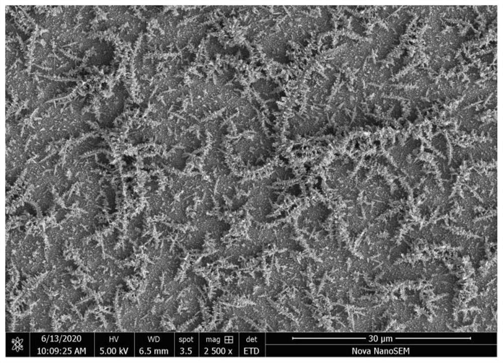 Single-step rapid preparation method of porous silicon-gold dendritic crystal composite structure