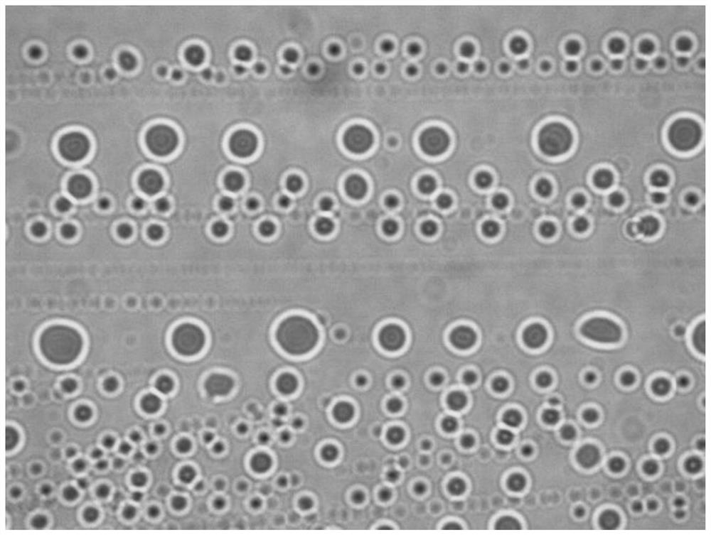 A nano oil displacement agent for tertiary oil recovery and preparation method thereof