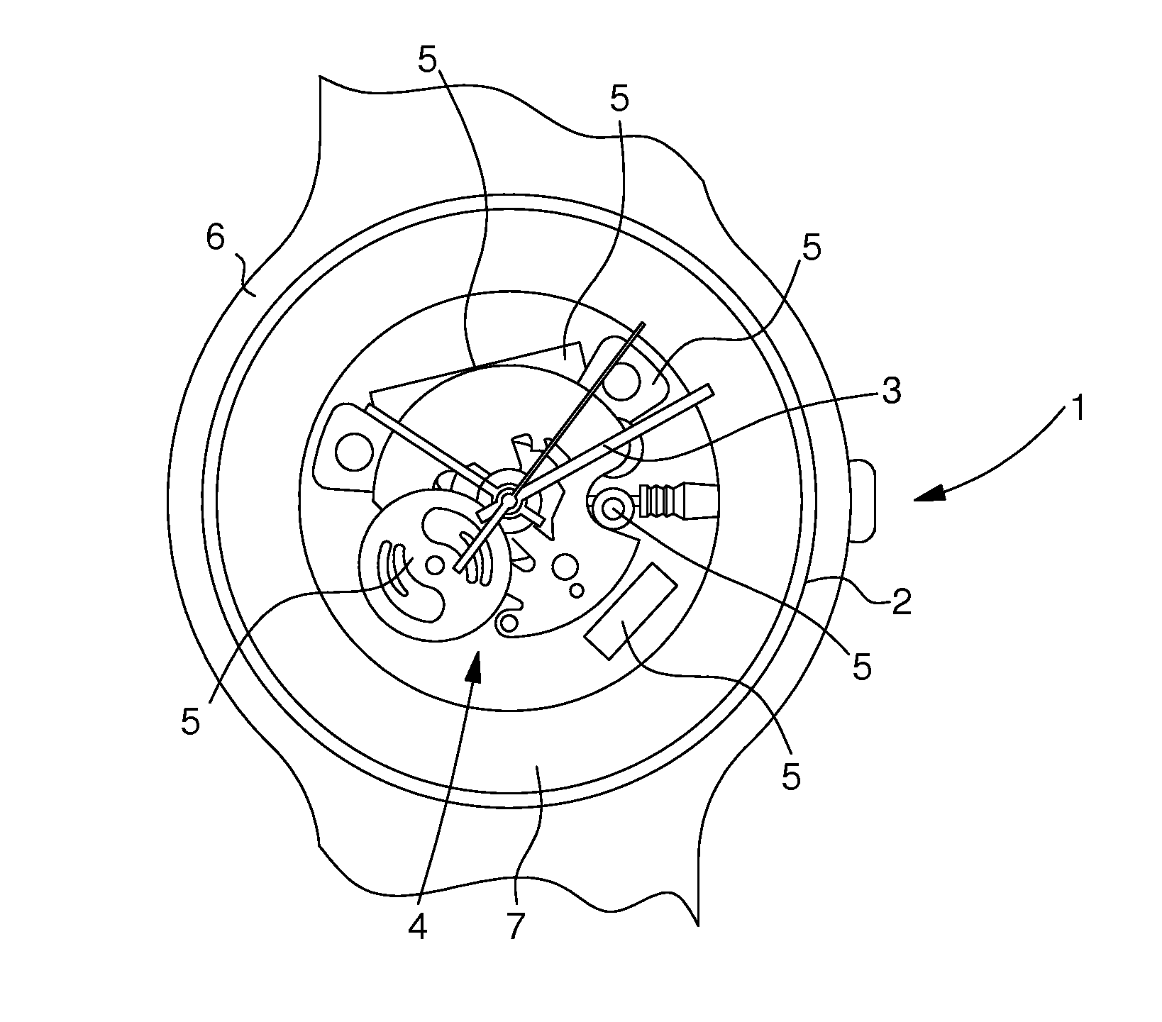 Watch with multi-coloured components