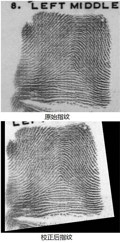 Fingerprint Correction Method Based on Orientation Field Distribution