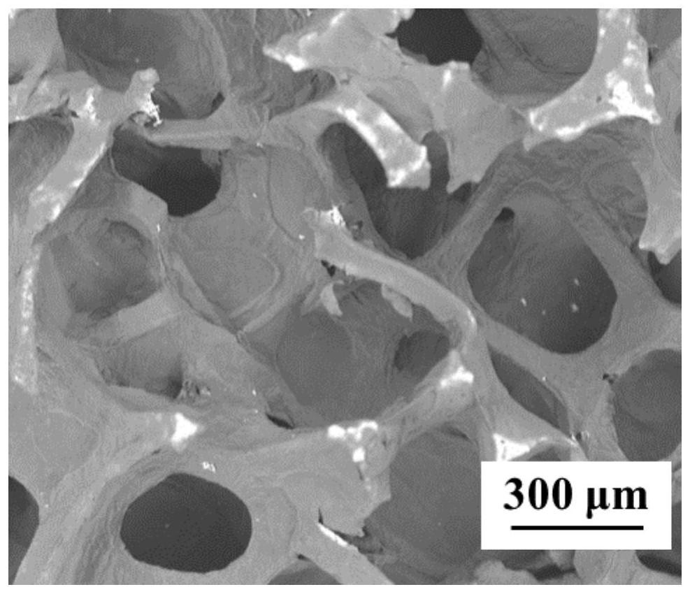 A kind of activation method of high-capacity lithium-ion battery negative electrode material