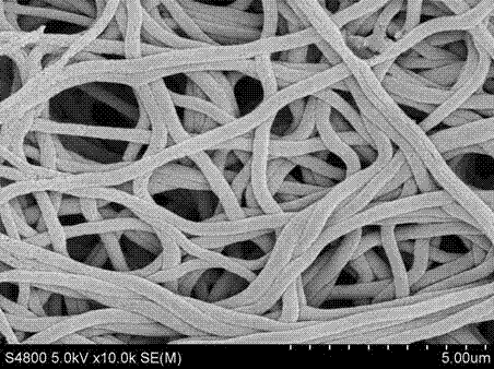 Porous carbon nano fiber material for adsorbing carbon dioxide and preparation method thereof