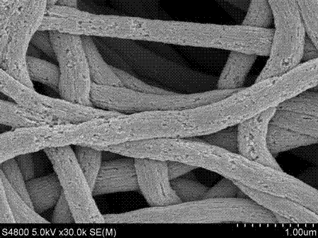 Porous carbon nano fiber material for adsorbing carbon dioxide and preparation method thereof