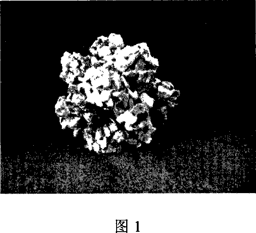 Method for treating wastewater by technique of sludge decrement type biomembrane piled ball packing
