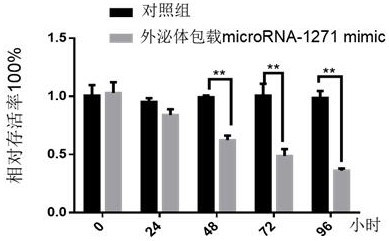 Kidney-targeted drug-loaded exosome, application and medicine for treating kidney diseases