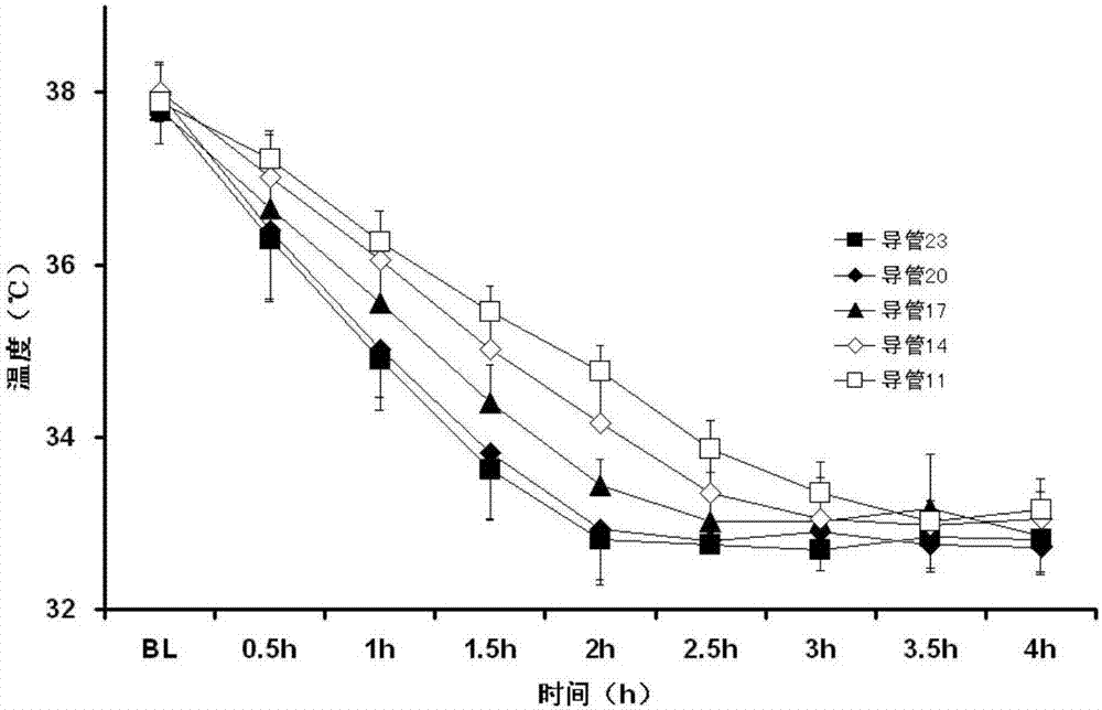 Animal blood temperature lowering method and application thereof and cardiopulmonary resuscitation low temperature animal model preparing method and animal model