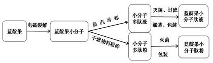 Method for extracting lonicera caerulea small molecule peptide liquid and peptide powder through electromagnetic splitting decomposition and application of lonicera caerulea small molecule peptide liquid and peptide powder