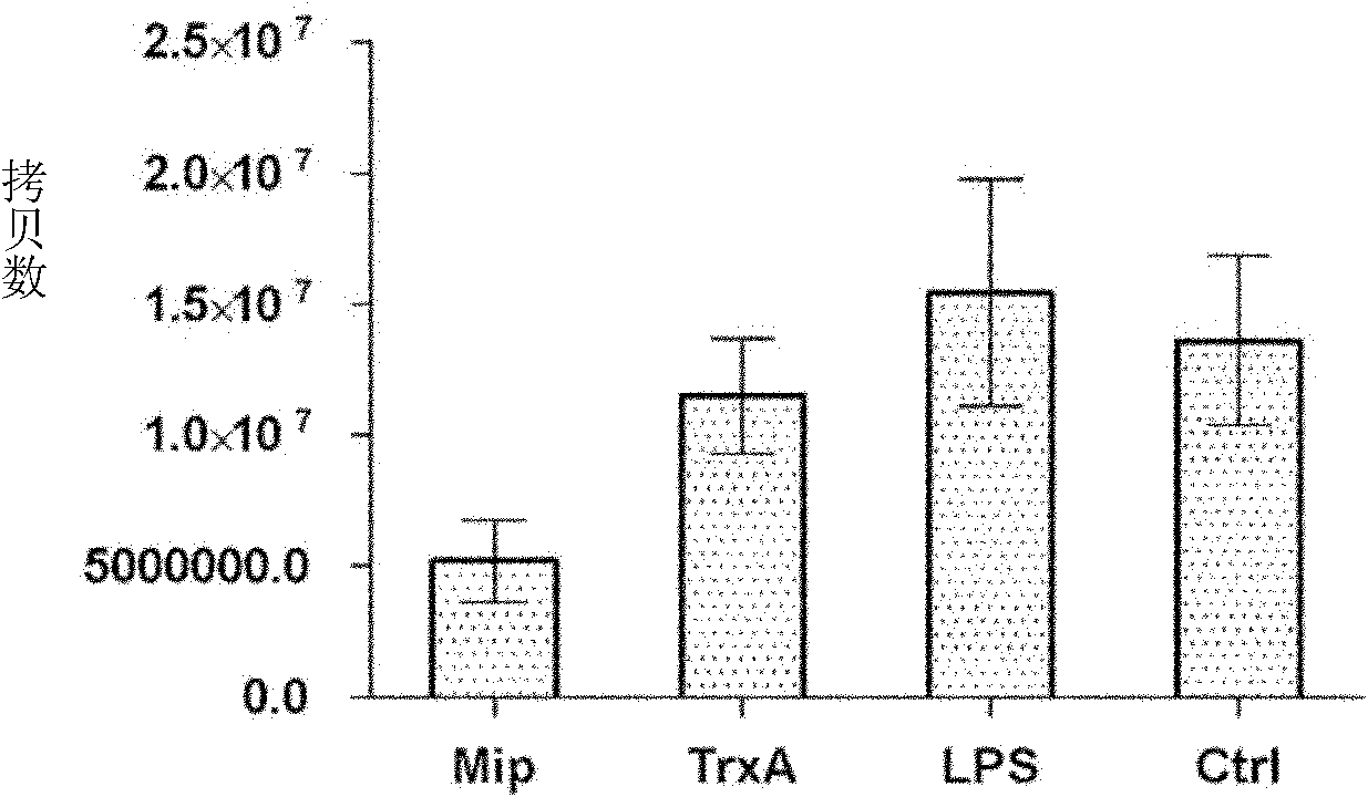 Application of protein Mip in immune protection of coxiella burnetii