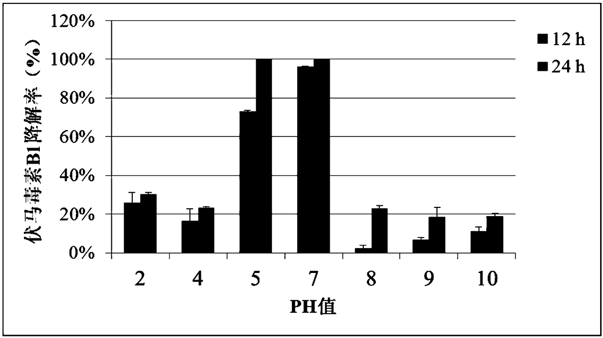 Mixed bacterial flora for degrading fumonisin B1 and crude enzyme preparation thereof