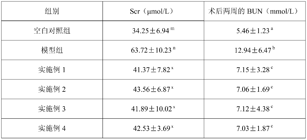 Cortex eucommiae extract composition for treating renal fibrosis and application of cortex eucommiae extract composition