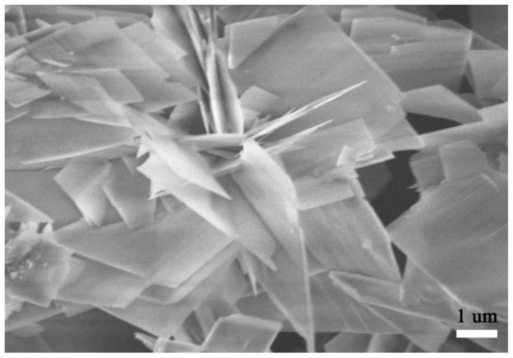 Cobalt oxide nanosheet coated with nitrogen-doped carbon layer and preparation method and energy storage application of cobalt oxide nanosheet