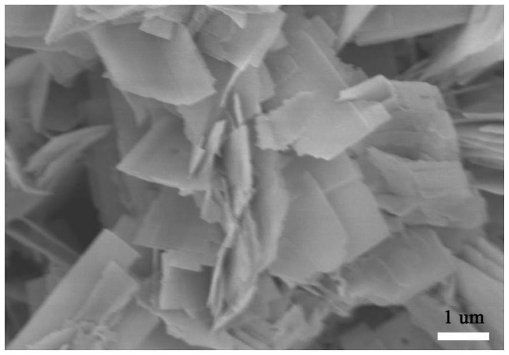 Cobalt oxide nanosheet coated with nitrogen-doped carbon layer and preparation method and energy storage application of cobalt oxide nanosheet