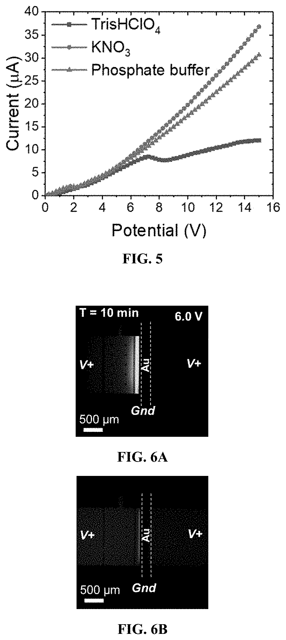 Device for electrokinetic focusing and electrical detection of particles and chemical species facilitated by a porous electrode