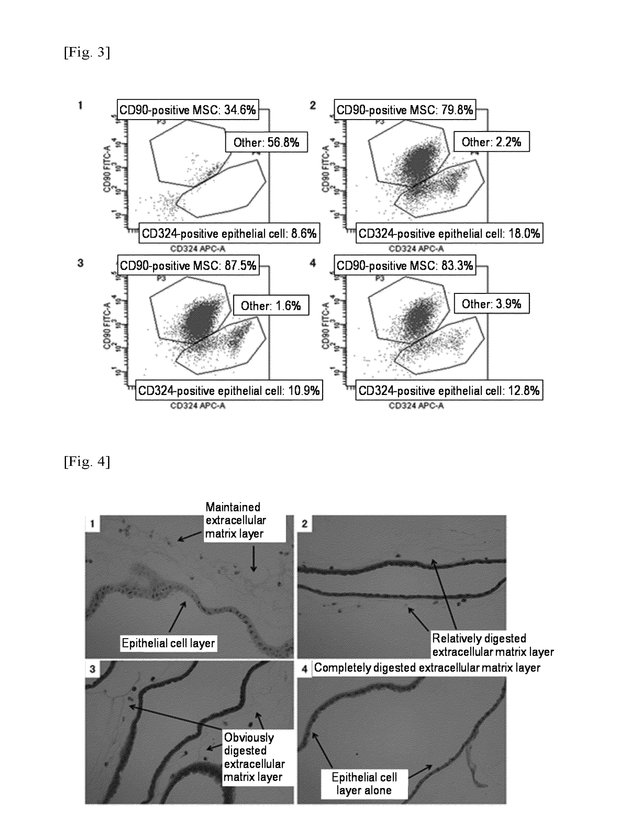 Method for producing amniotic mesenchymal stromal cell composition, method for cryopreserving the same, and therapeutic agent