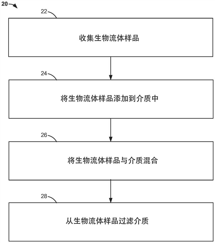 Collection and treatment of biofluid sample