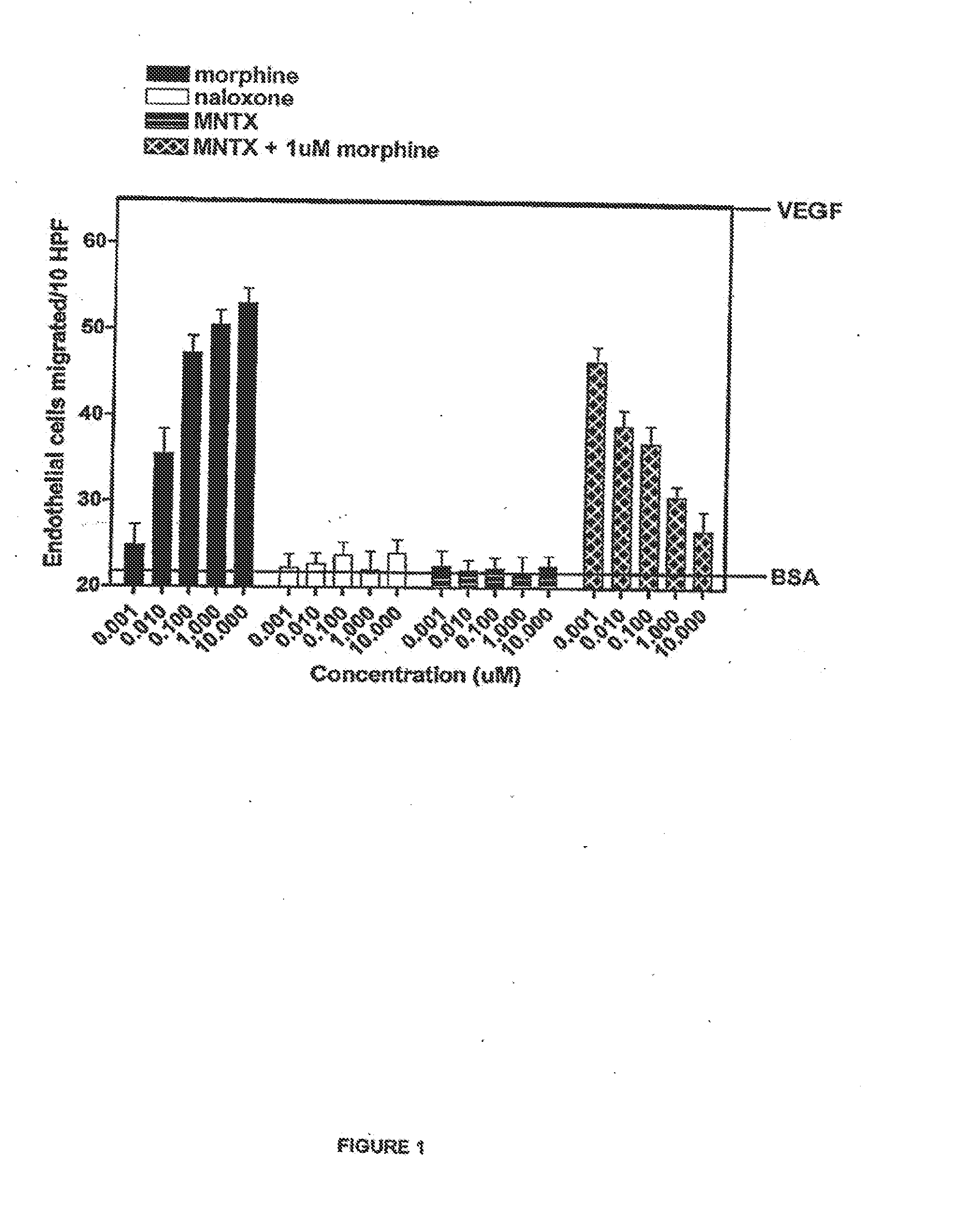 Use of opioid antagonists to attenuate endothelial cell proliferation and migration