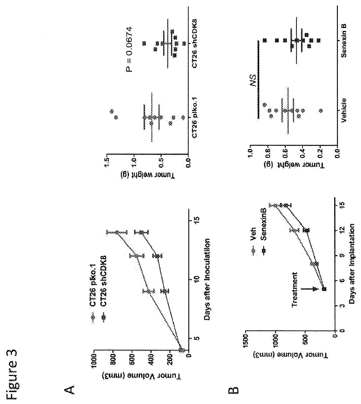 Use of cdk8/19 inhibitors for treatment of established colon cancer hepatic metastasis