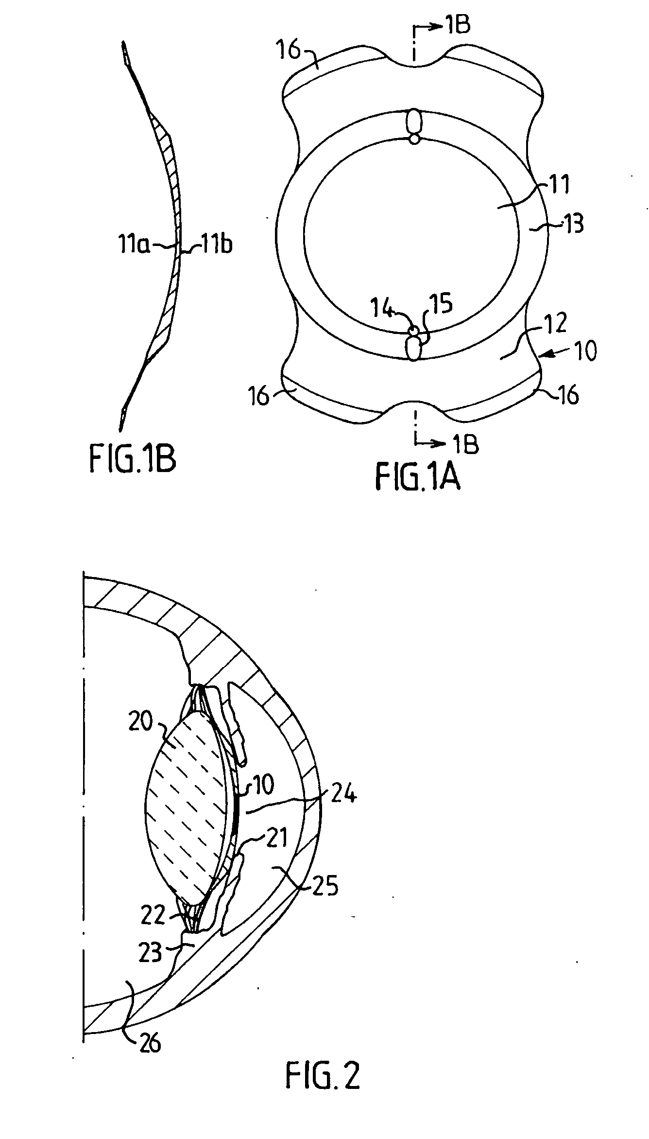 Phakic intraocular lens with improved fluid circulation properties