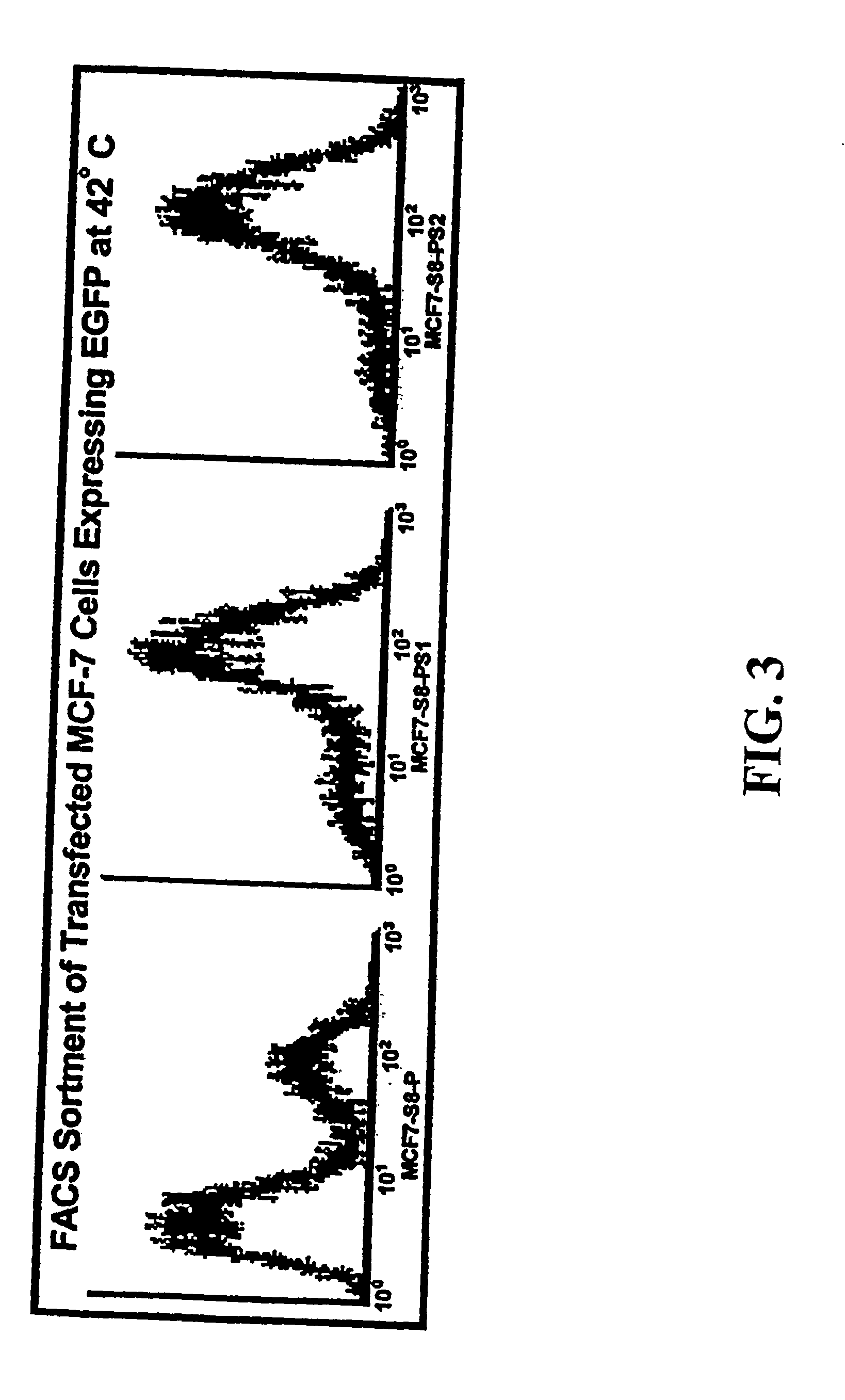 Hyperthermic inducible expression vectors for gene therapy and methods of use thereof