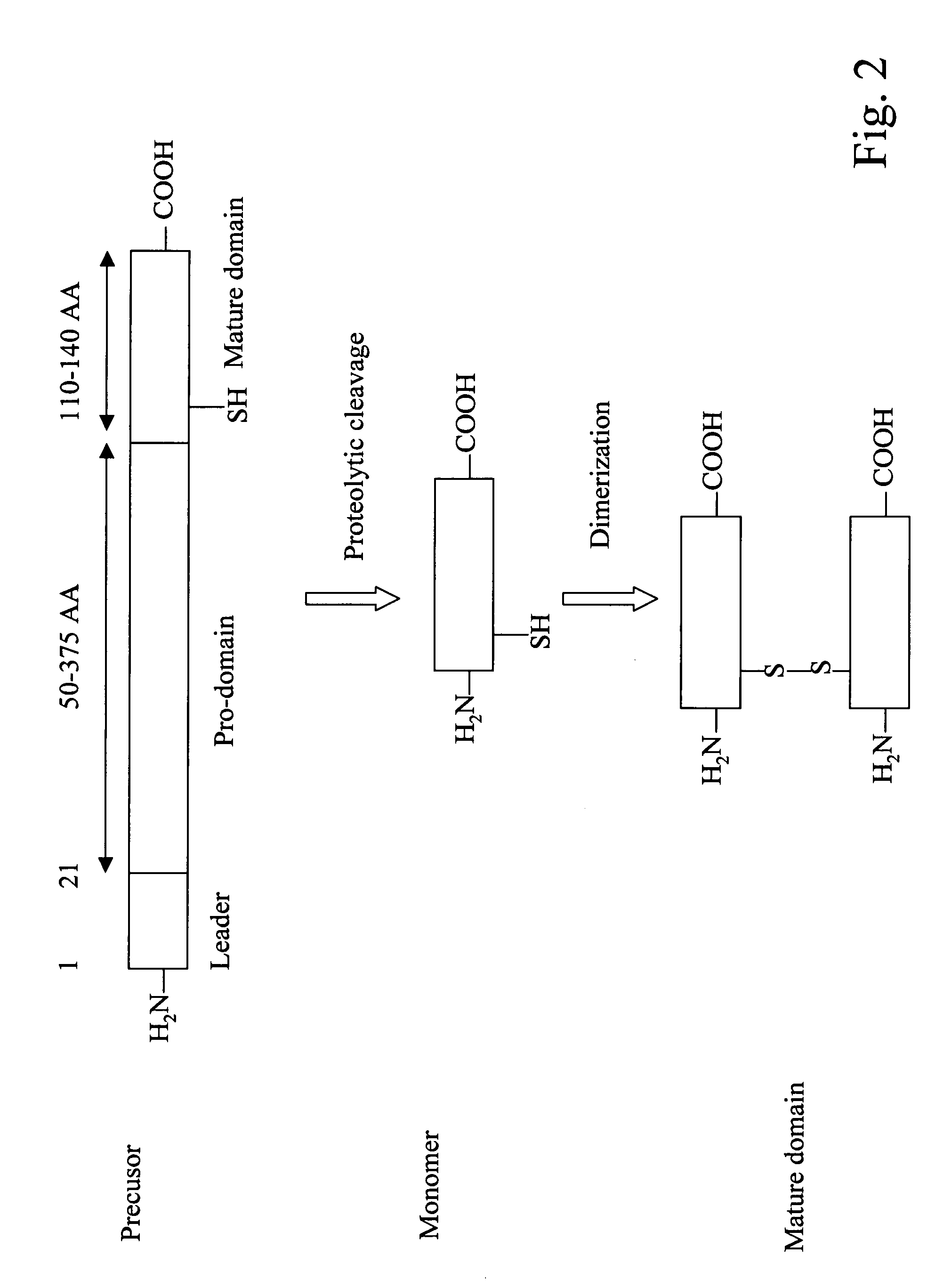 Method and vaccine for non-genetically engineered atavism growth enhancement