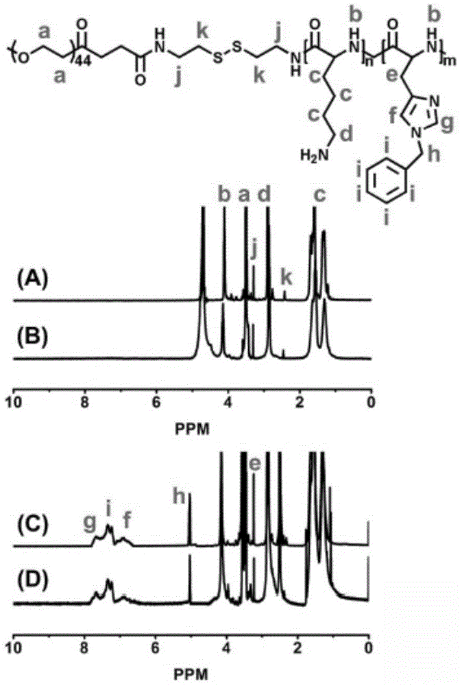 Novel cationic-polymer nanometer-material genetic carrier, preparing method and application