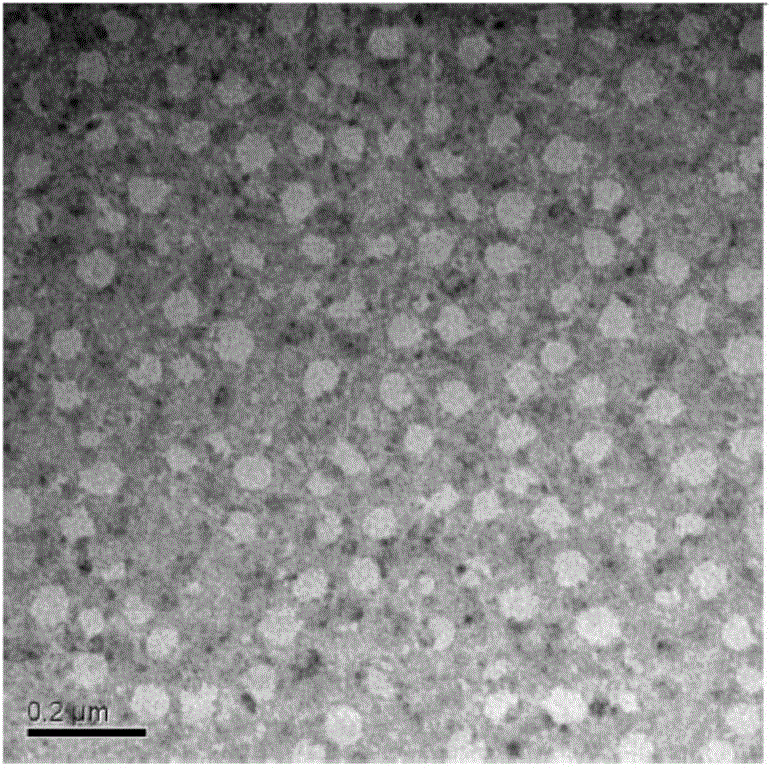 Novel cationic-polymer nanometer-material genetic carrier, preparing method and application